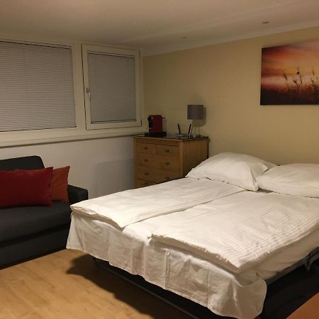 Cosy Flat In The Quiet Area With Own Garden, Free Parking And Direct Public Transport Link To The Centre Apartment Vienna Exterior photo